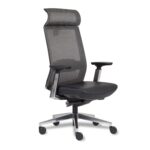 Sillon STRIVE